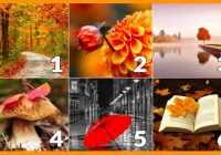 Tests: Jūsu izvēlētā rudens ainava atklās, kādas izmaiņas jums būs oktobrī