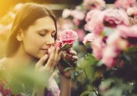 Ko rozes runā par mums – kādas rozes dāvināt