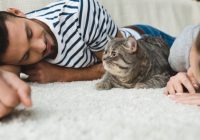 “Viņa mani izglāba”: vai tiešām kaķi uzņem cilvēku slimības