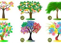 Izvēlieties vienu koku un atklājiet savas dominējošās rakstura īpašības